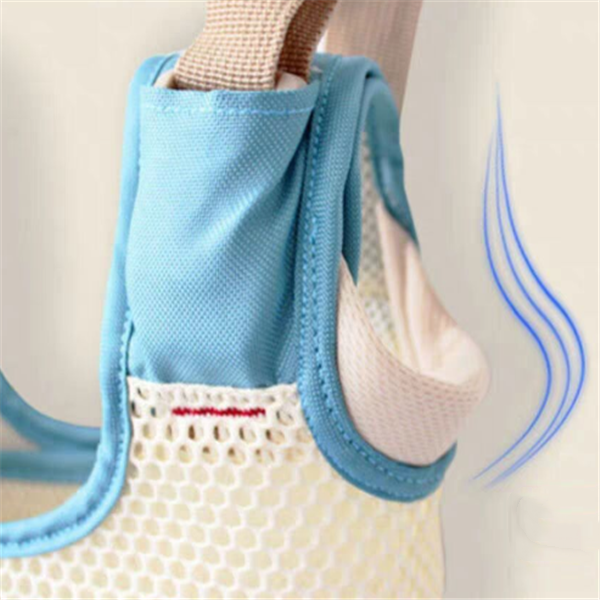 Blue shoe bag with a shoe inside on a white background